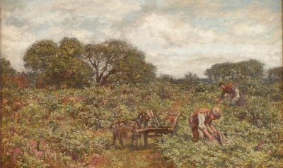 Cutting bracken, Ambersham Common