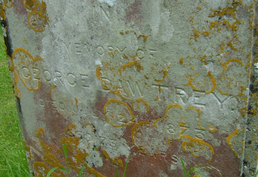 click image to return