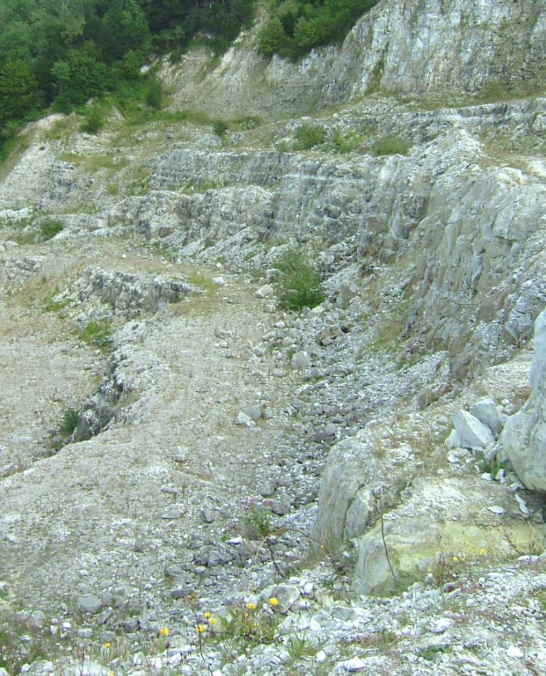 Photo &copy; Phil Dixon - 3 September 2007
click image to return