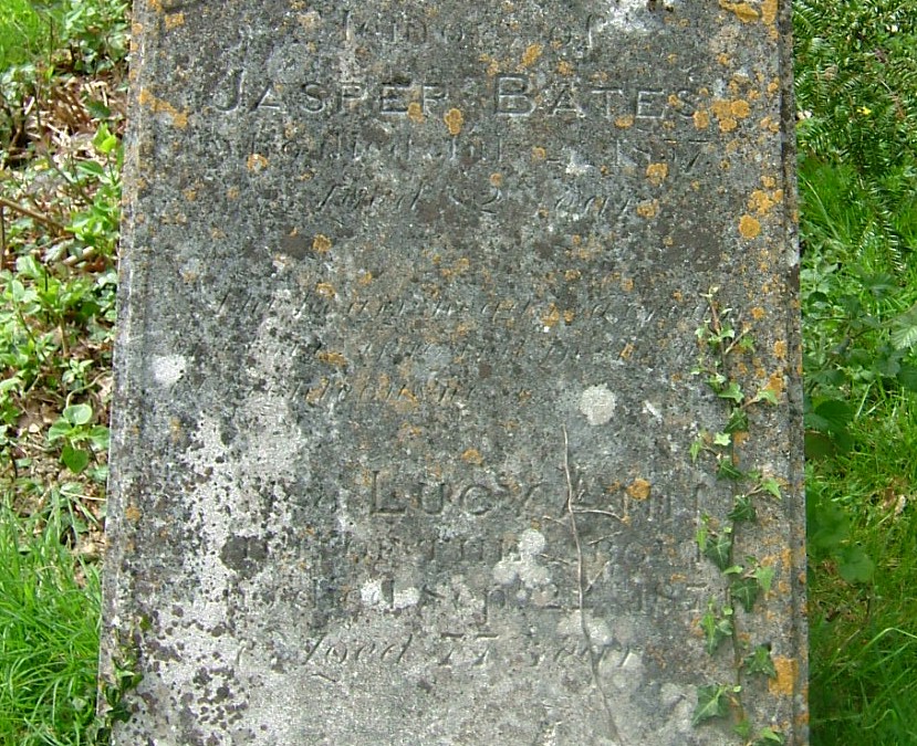 click image to return