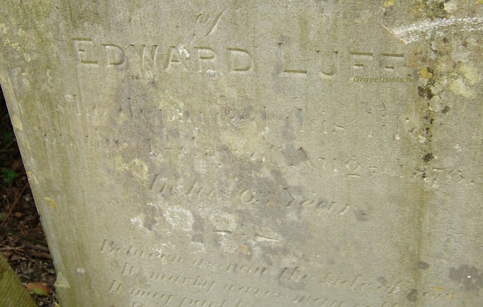 click image to return