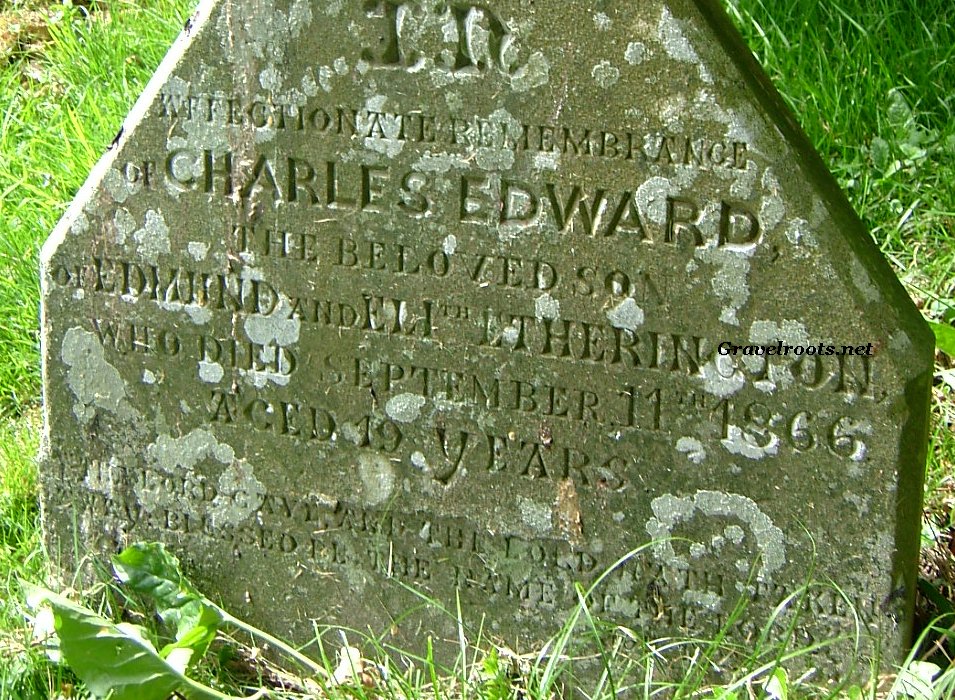 click image to return