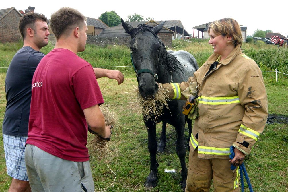 click image to return