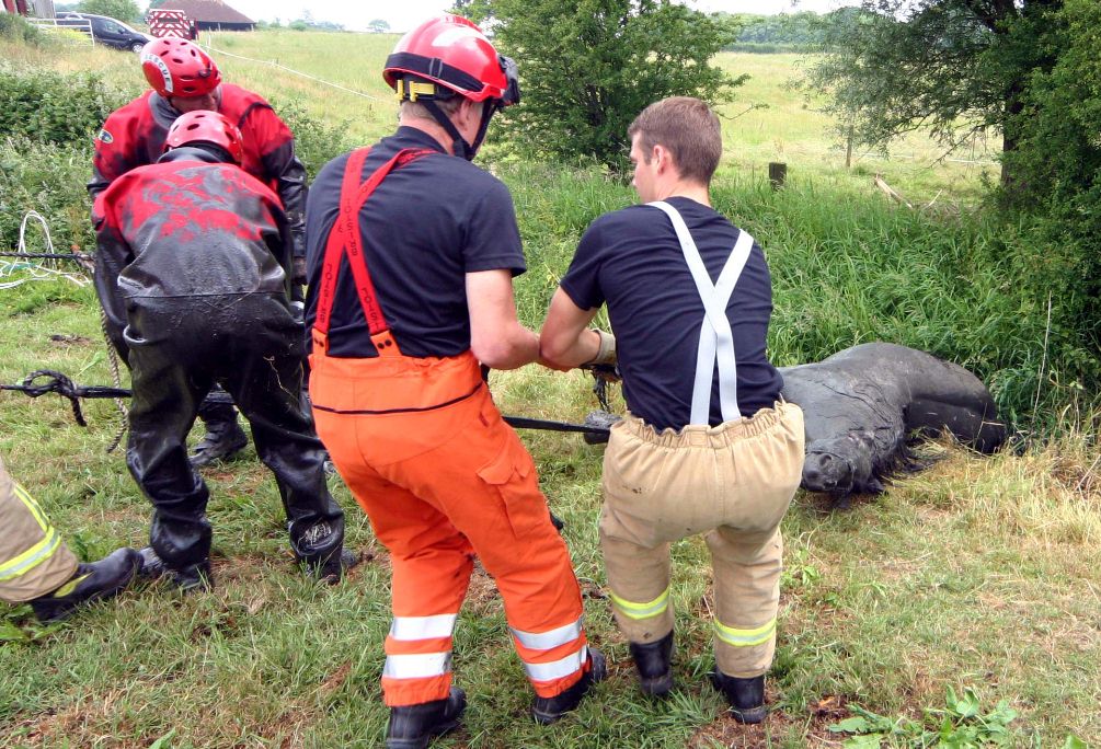 click for next image