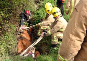 click for full image