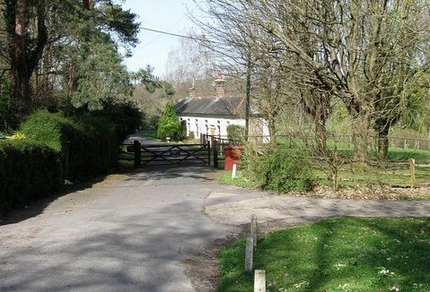 photo- Simon Carey - 5 April, 2009