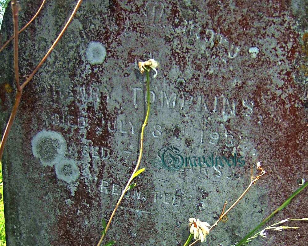 click image to return