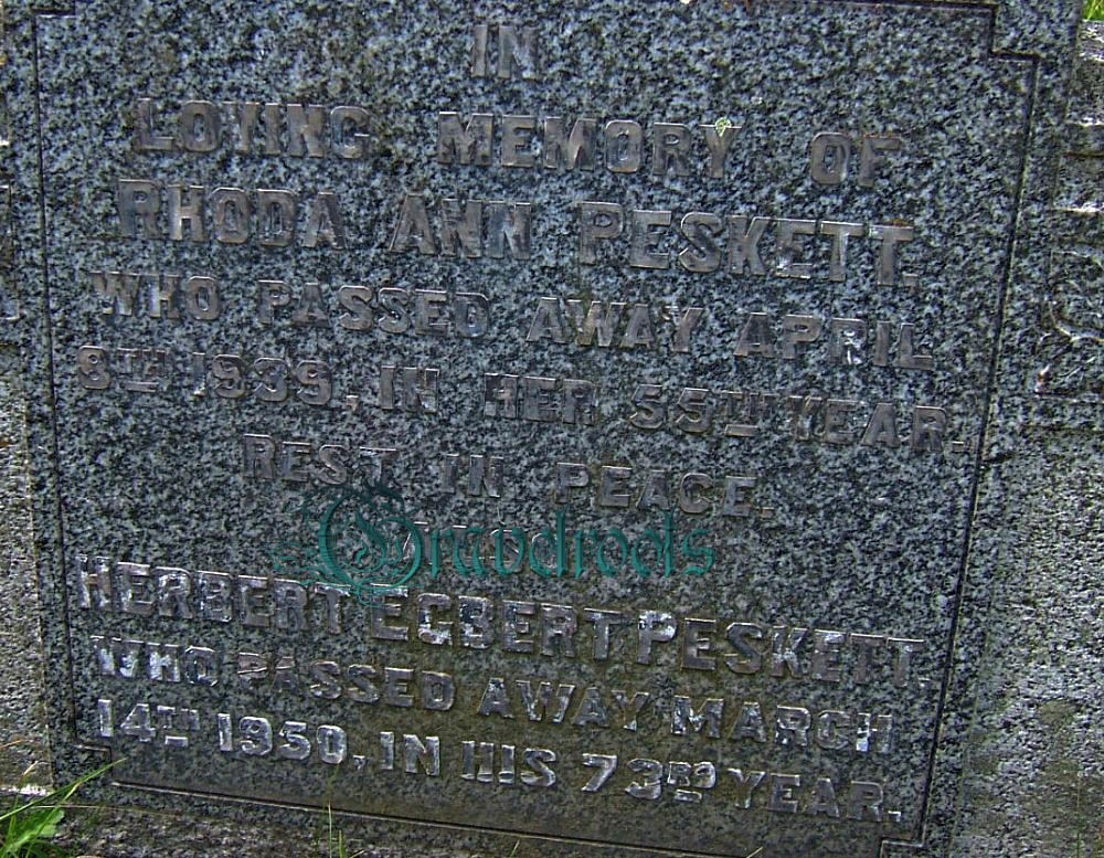 click image to return