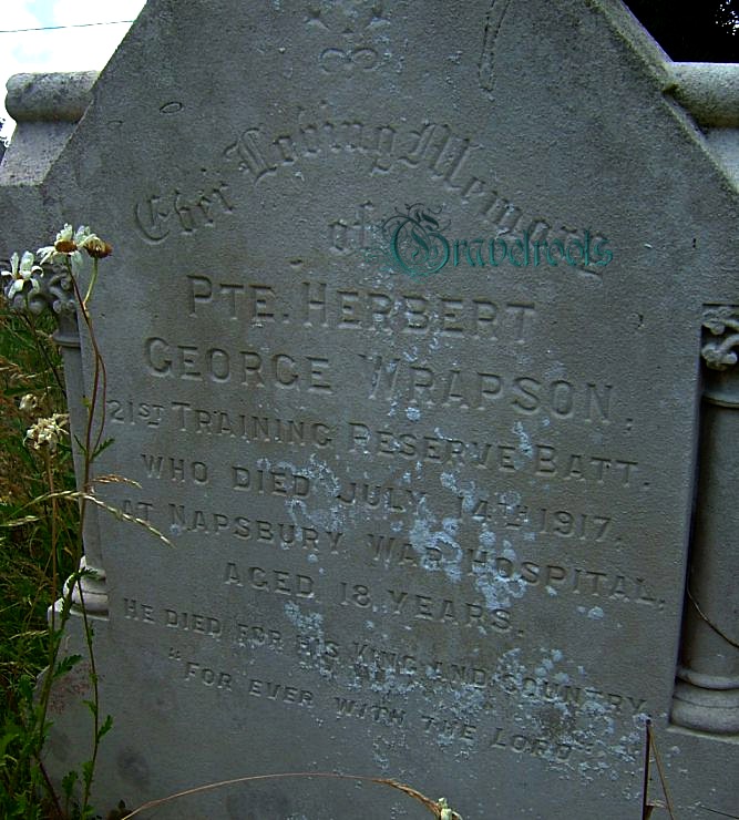 click image to return