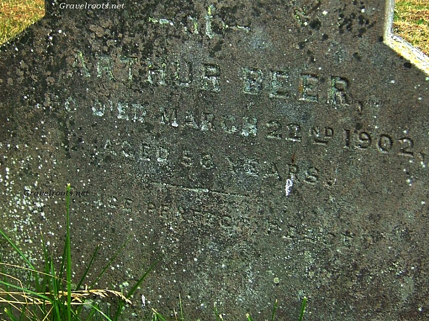 click image to return