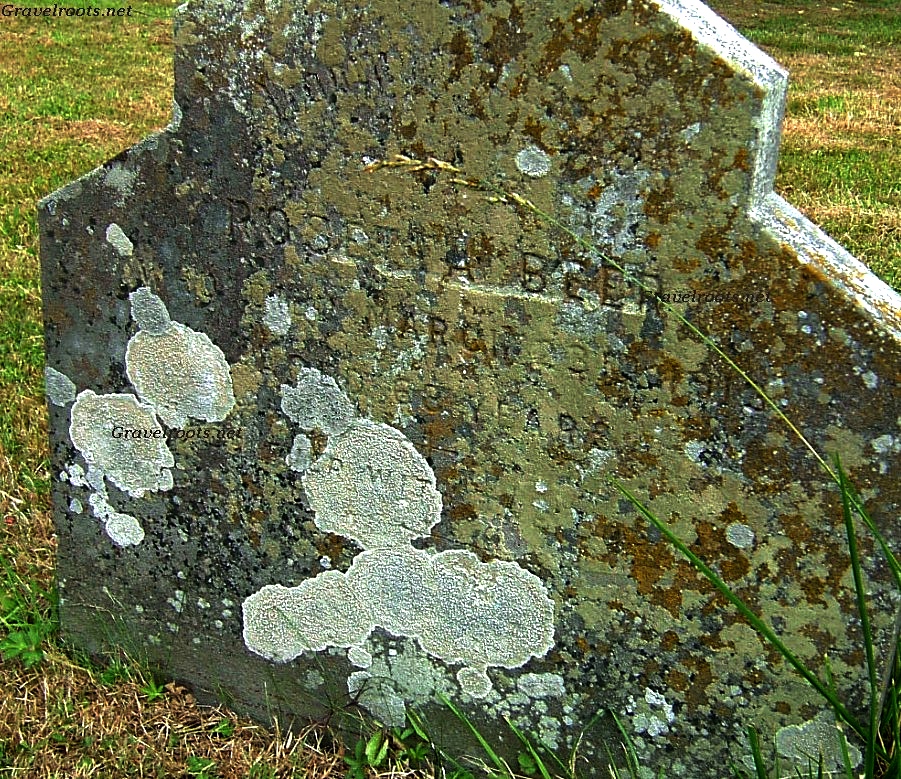 click image to return