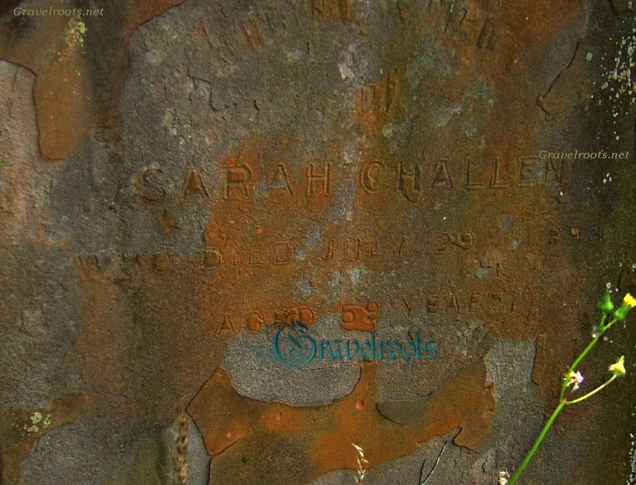 click image to return