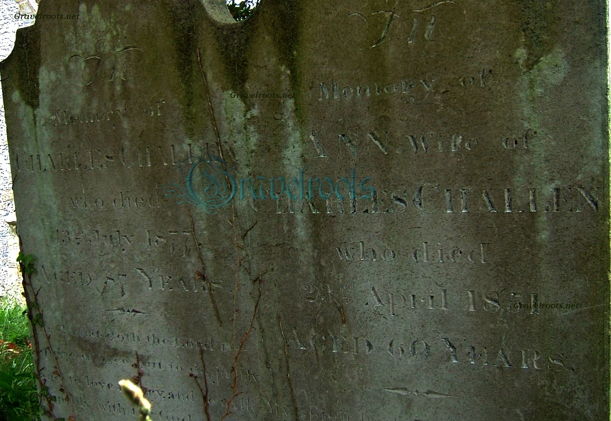 click image to return