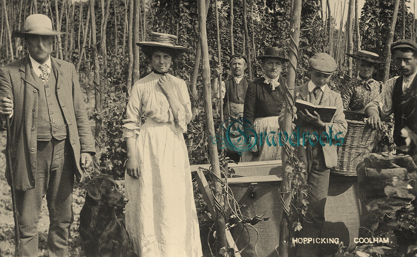 Hop picking, Coolham, Billingshurst, Sussex - click image to return
