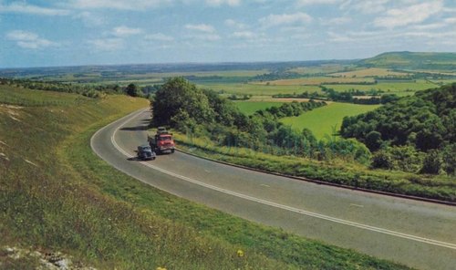 Bury Hill