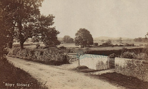 Bury Hill