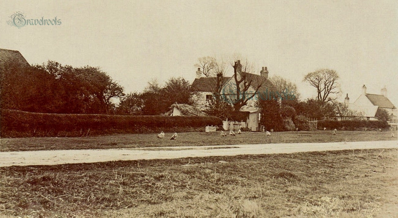 The Green, Itchenor, Chichester Harbour, click image to return
