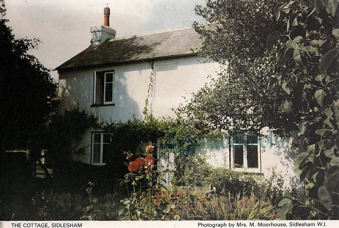 Old Brighton - click image to return