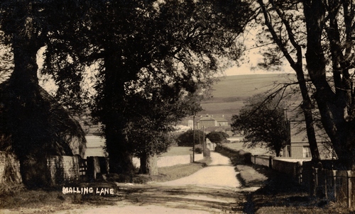 Old Lewes