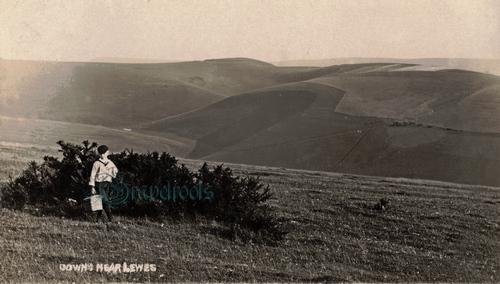 Old Lewes