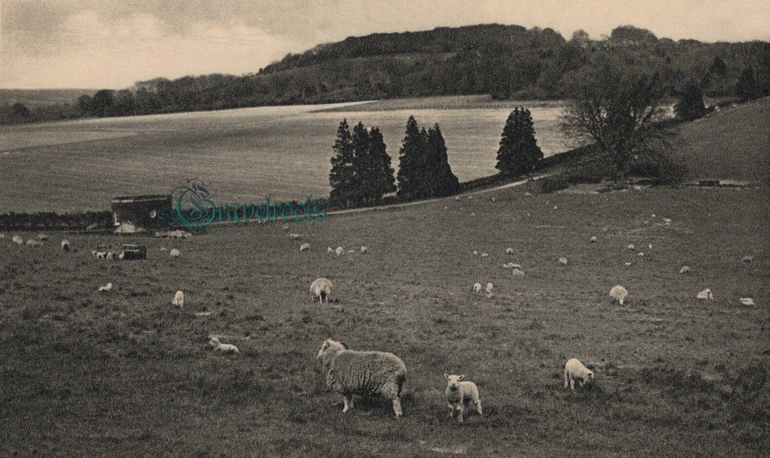 Old photos of Eartham, Sussex -  - click image below to return