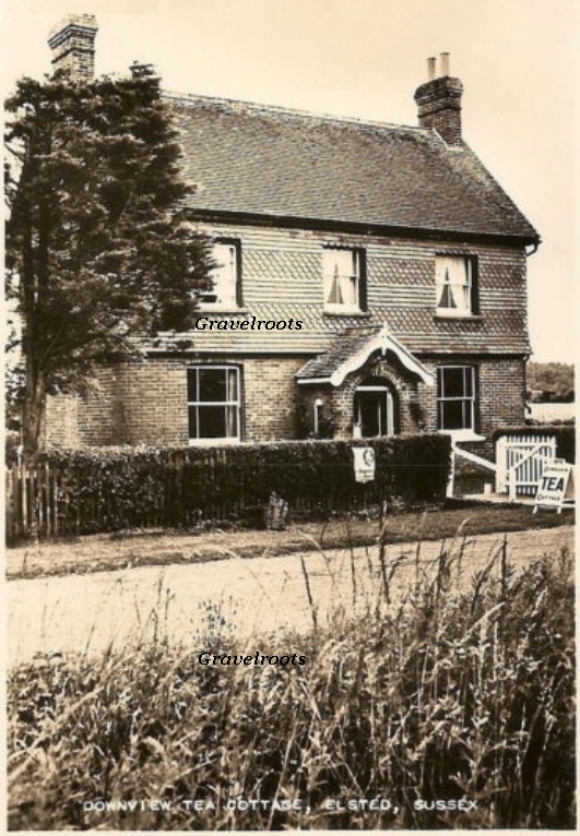 Downview Tea Cottage, Elsted, Sussex - click to return