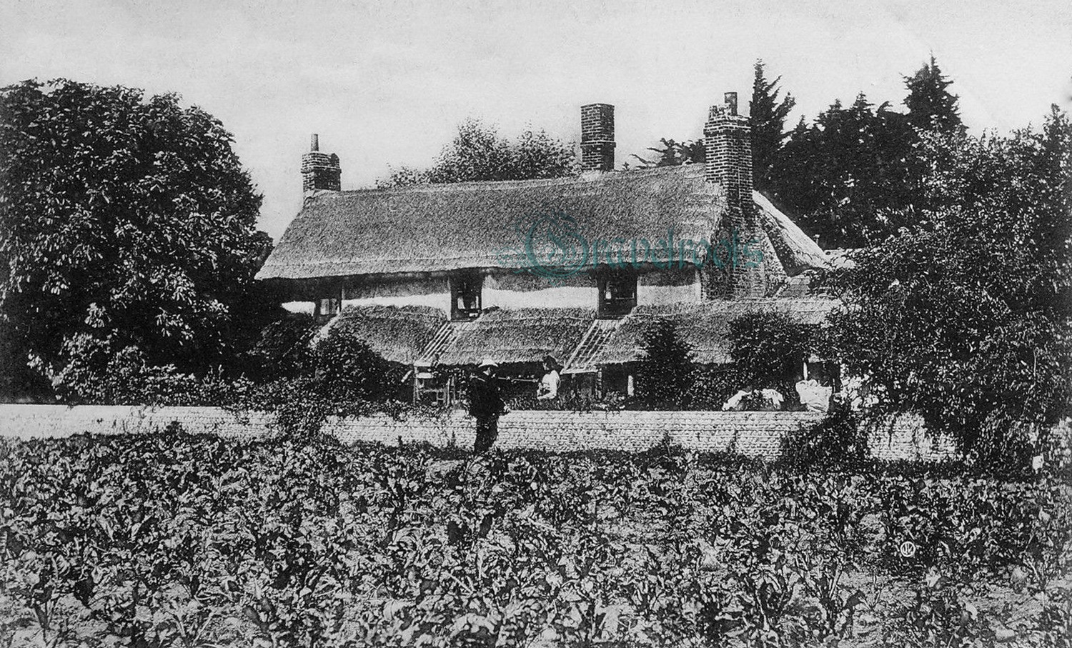 Felpham - click image to return