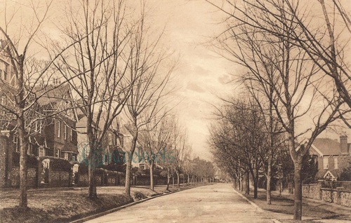 Old Lewes