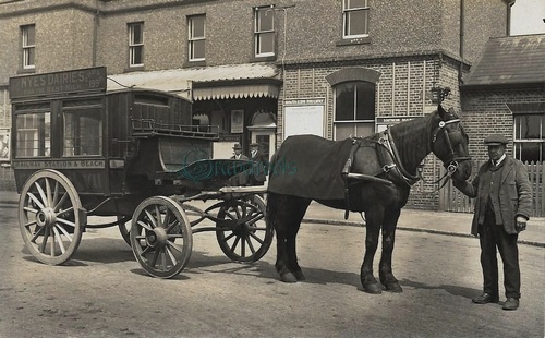 old Littlehampton station