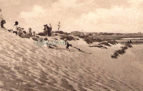 Sand Dunes, Littlehampton