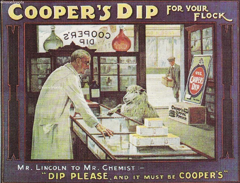 Coopers sheep dip advert - click to return