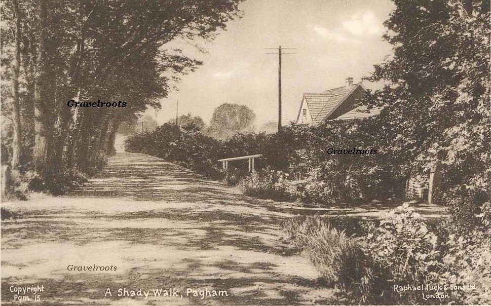 Pagham, click image to return