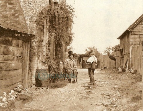 Sussex