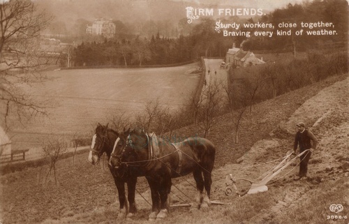 Sussex