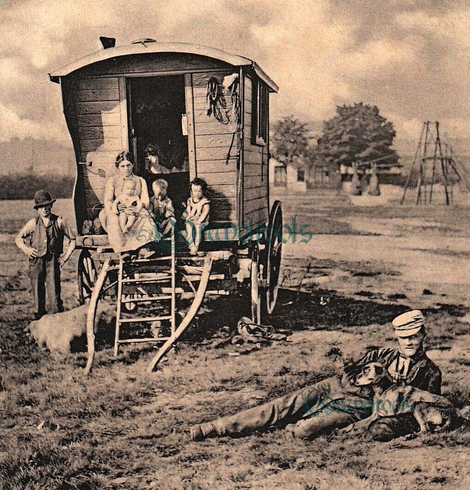  old Social history photos of Romany family and caravan, Sussex - click image to return