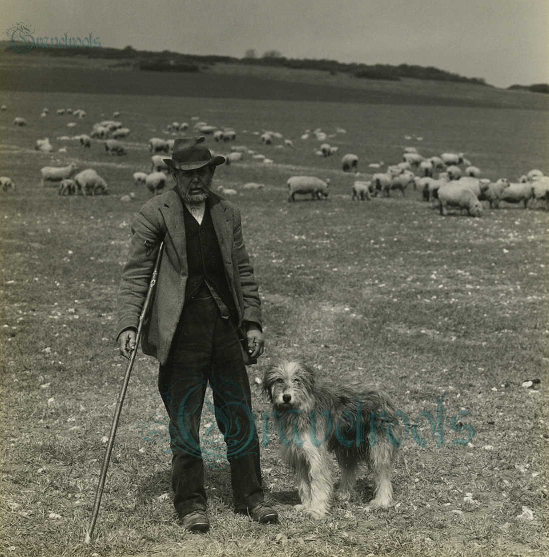  old  Social history photos of Shepherd & Dog, Downs near Jevington, Sussex - click image below to return