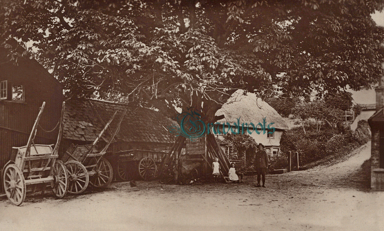  old  Social history photos of Figheldean Smithy, Salisbury Plain, Wiltshire - click image below to return