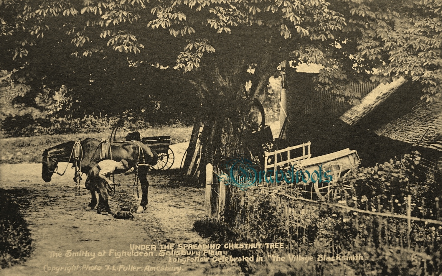  old Social history photos of Figheldean Smithy, Salisbury Plain, Wiltshire - click image below to return