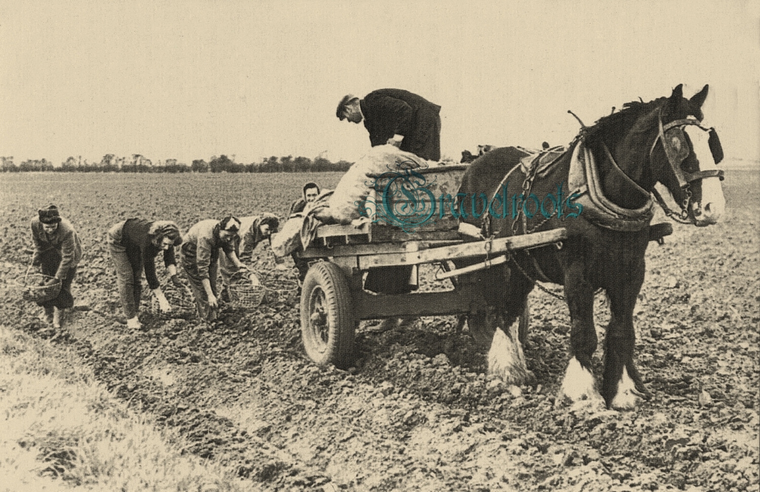  old Social history photos of , Sussex - click image to return