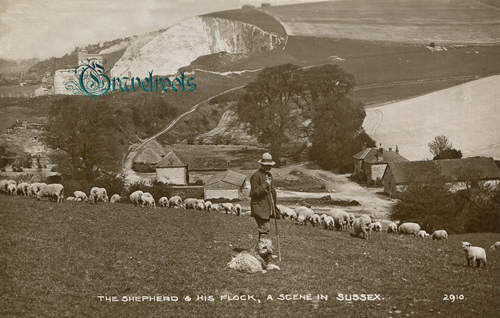 Sussex