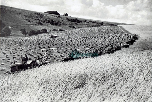 Sussex