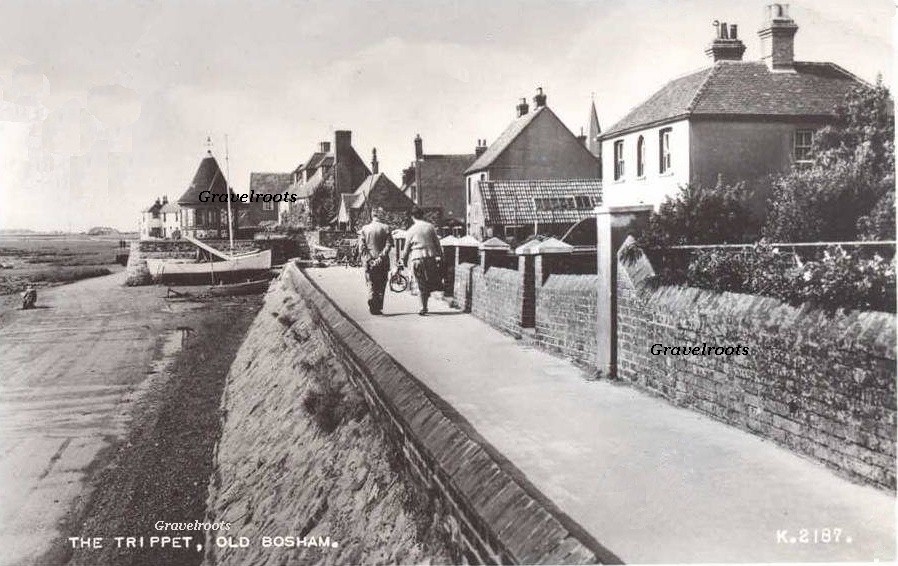  old photo of Trippet, Bosham, Sussex - click image below to return