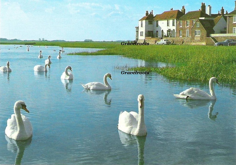 Old Bosham - click to return