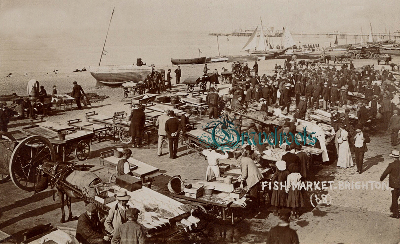 Old Brighton Fish Market photos Stevens -  - click image below to return