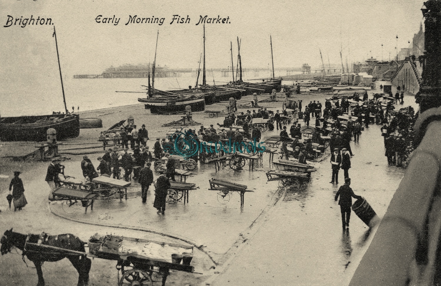 Old Brighton Fish Market photos - click image below to return