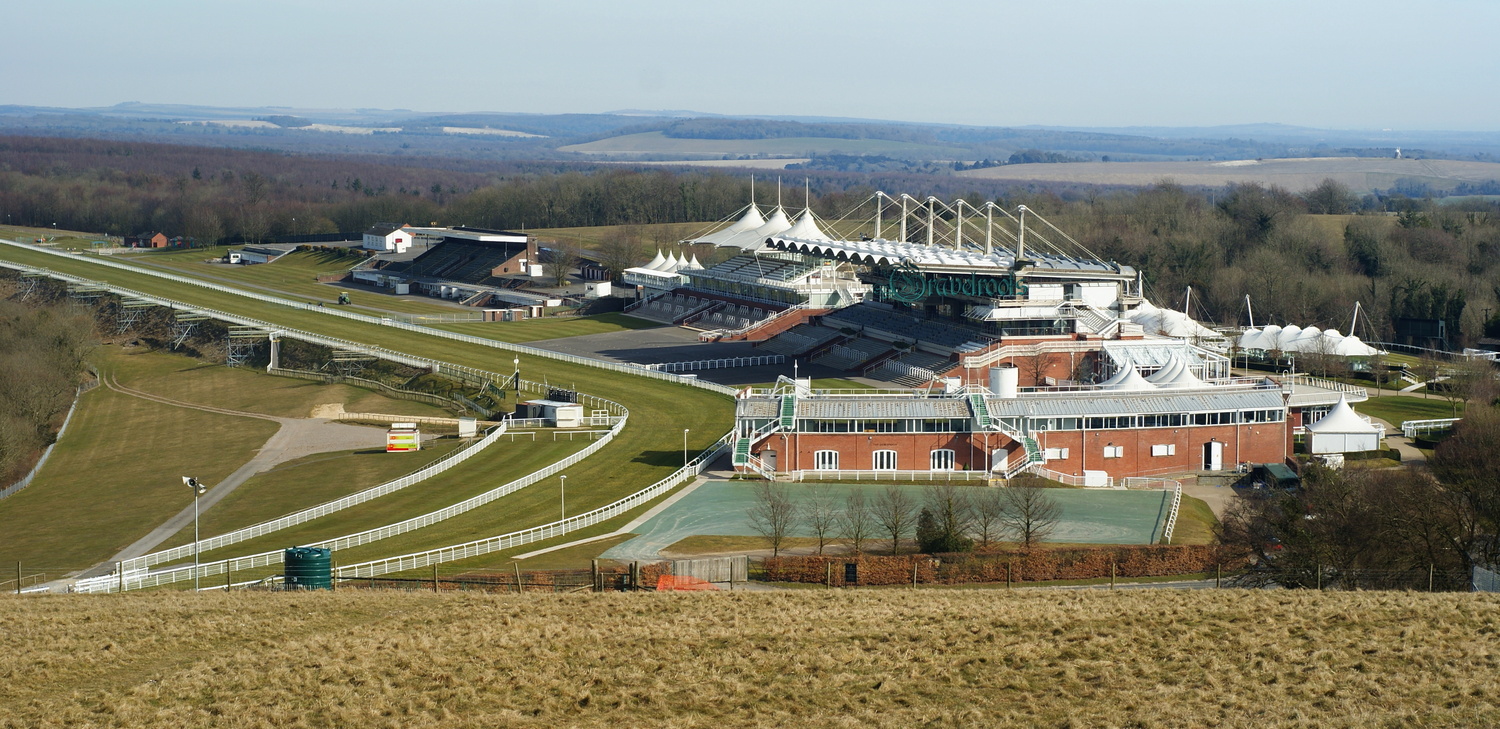 Goodwood racecourse - click to return