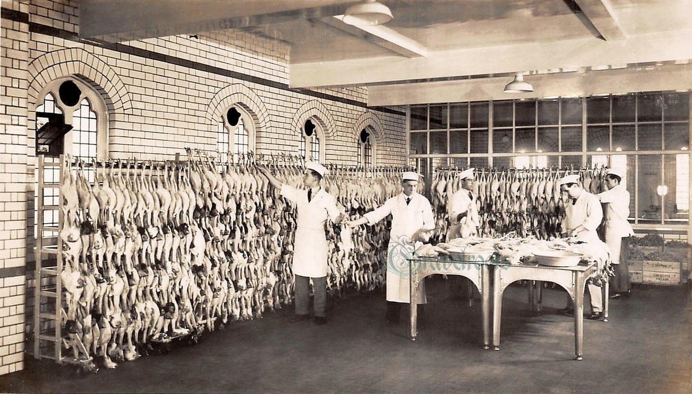  old photo of C.Shippam Limited, Chichester, Sussex - click image below to return