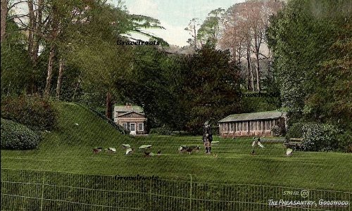 old Goodwood
