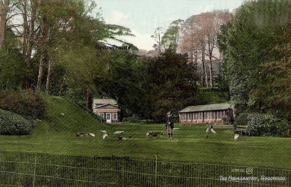 Old photos of The Pheasantry, Goodwood, Sussex - click to return