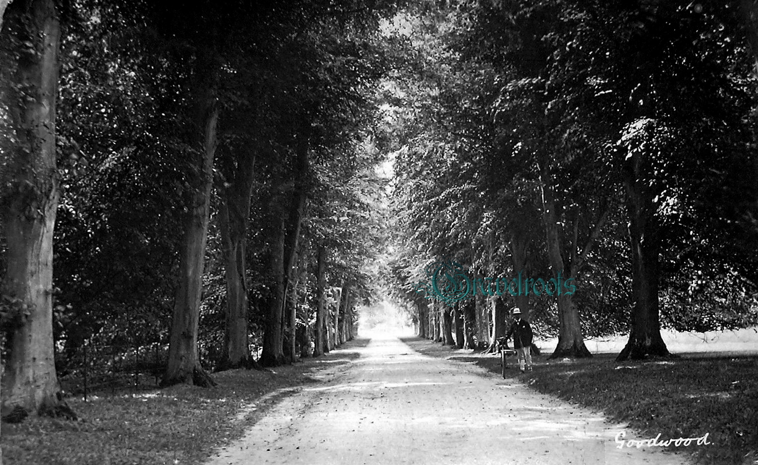 Old photos of Goodwood - click to return